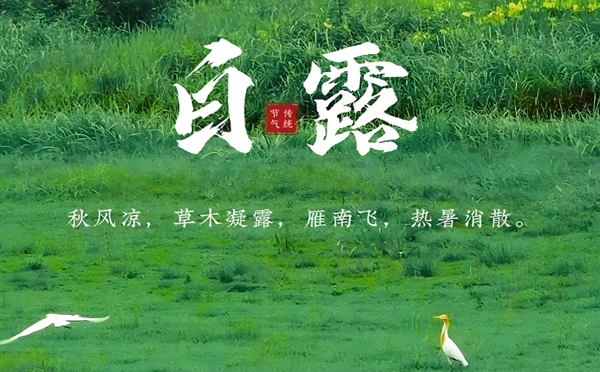 达日白露清新，新创洁与您共享洁净之美